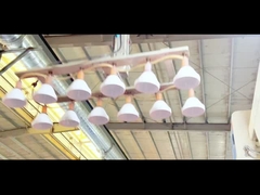 ขายร้อน cookie mason jar กระปุกพลาสติกที่มีราคาถูก